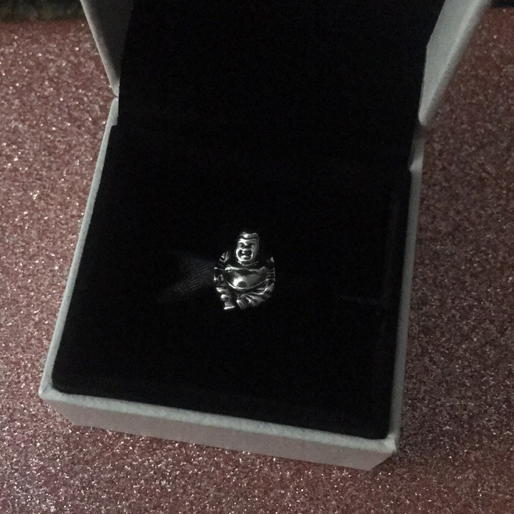 Pandora Charm!